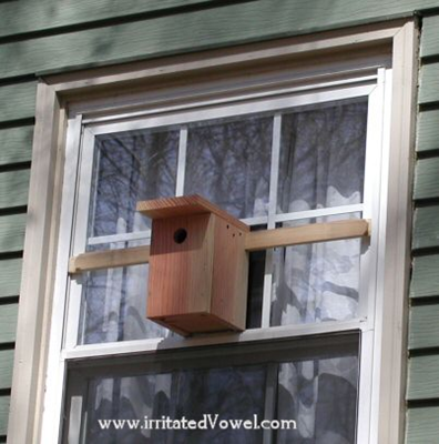 Window Bird House with Transparent Back - Pete Brown's 10rem.net