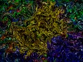 Abstract Twisted Flower (Thumbnail)