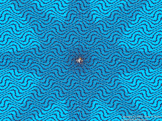 Blue Fractal Maze (Preview)